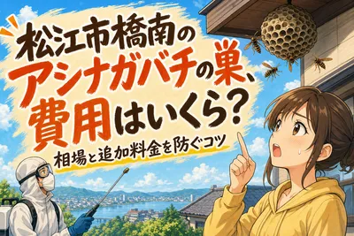 松江市橋南のアシナガバチの巣、費用はいくら？相場と追加料金を防ぐコツ