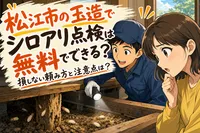 松江市の玉造でシロアリ点検は無料でできる？損しない頼み方と注意点は？