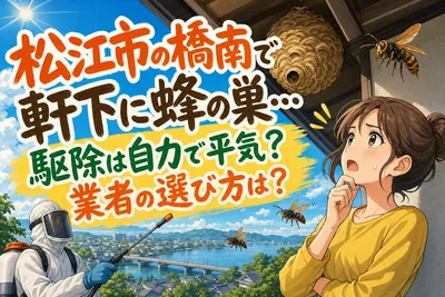 松江市の橋南で軒下に蜂の巣…駆除は自力で平気？業者の選び方は？