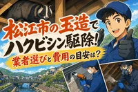松江市の玉造でハクビシン駆除！業者選びと費用の目安は？
