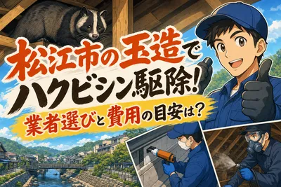 松江市の玉造でハクビシン駆除！業者選びと費用の目安は？