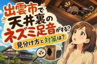 出雲市で天井裏のネズミ足音がする？見分け方と対策は？