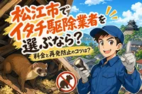 松江市でイタチ駆除業者を選ぶなら？料金と再発防止のコツは？