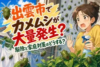 出雲市でカメムシが大量発生？駆除と家庭対策はどうする？