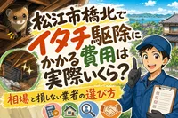松江市橋北でイタチ駆除にかかる費用は実際いくら？相場と損しない業者の選び方