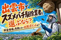 出雲市でスズメバチ駆除業者を選ぶなら？料金相場と失敗しない比較ポイントは？