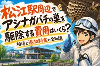松江駅周辺でアシナガバチの巣を駆除する費用はいくら？相場と追加料金の全知識