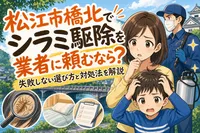 松江市橋北でシラミ駆除を業者に頼むなら？失敗しない選び方と対処法を解説